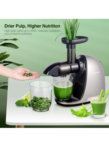 amzchef Juicer Machines Slow Masticating Juicer Extractor Easy to Clean Slow Juicers with Quiet Motor Reverse Function Anti-Clogging Cold Press Juicer Machines with Brush,for High Nutrient Fruit & Vegetable Juice B095C553W9
