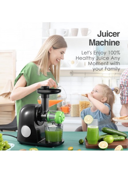 BBZZ Juicer Machines Easy to Clean,Slow Masticating Juicer Extractor with Quiet Motor & Reverse Function,BPA-Free,Cold Press Juicer with Brush,Juice Recipes for Vegetables and Fruits Classic Black B09QKP9LR5