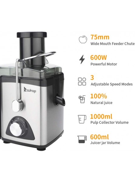 Electric Mechanical Juicer. American Standard Large Caliber Juice Cup Slag Cup Third Two Gear Stainless Steel.Silver Black Red ALW-J03 B09NQ9BDMR