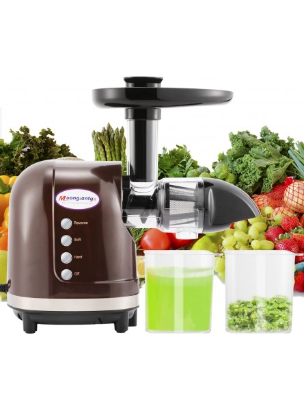 Moongiantgo Slow Masticating Juicer Machine Vegetable Fruit Juice Extractor with 2-Speed Modes Reverse Function Easy to Clean Quiet 200W Motor Cold Press Juicer BPA-FREE 110V B086GP5M57
